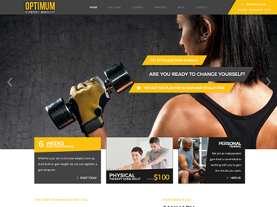 Optimum, website, brand and collateral