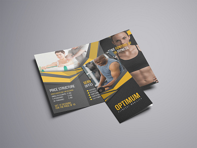 Optimum, website, brand and collateral