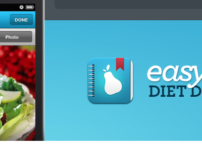 Diet Diary iPhone App Website app food icon ios iphone ui