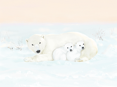 White Bear illustration