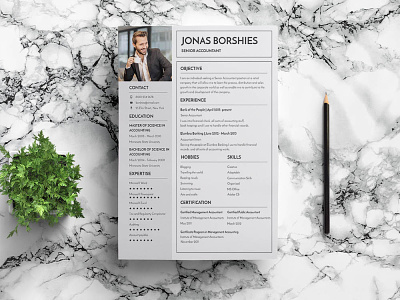Free Professional Banking Resume Template