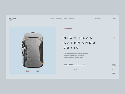 E-commerce Concept / Backpack Shop