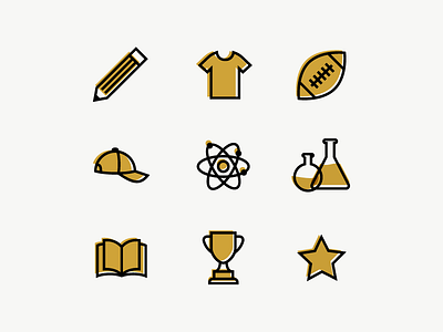 University Icons branding iconography icons thick lines ui web design
