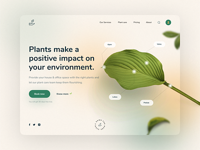 Plant Care Landing Page Design clean green minimal nature plant plant website ui ui design uiux website website design