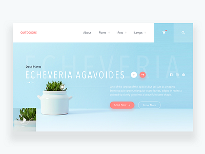 Outdoors Landing Page UI clean color design dribbble flat graphic icon landing page minimal plant plants typography ui ux website