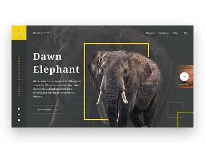 WildLife Webpage UI animal design dribbble elephant graphic illustration landing page minimal ui webpage website website design wildlife