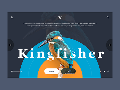 Kingfisher Web Page UI design dribbble graphic minimal typography ui ui design uiux website website design