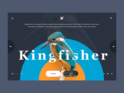 Kingfisher Web Page UI