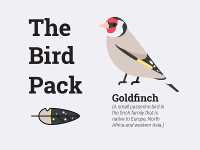 The Bird Pach Goldfinch branding design illustration vector
