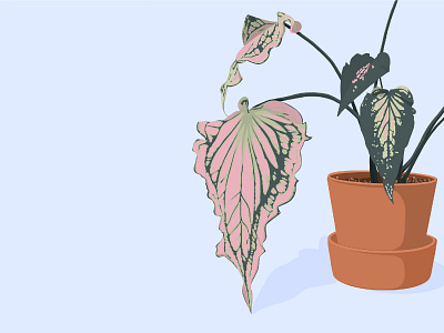 Plant design flat illustration