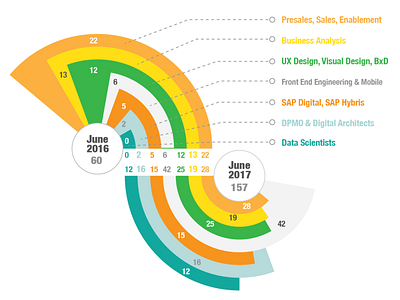 Data visualisation- team expansion plan analytics data visualisation info design infographic