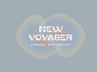 New Voyager Organic Mid-Century Display Font bold brand custom font display display font font logo mcm mid century mid century modern natural organic typeface