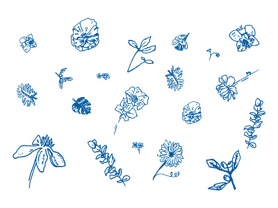 Saint Fleur Motifs brand branding floral identity illustrations motifs