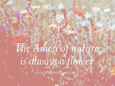 Amen of Nature brand brand identity branding identity quote