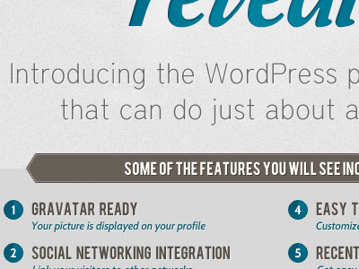 Revealr plugin revealr splash website wordpress