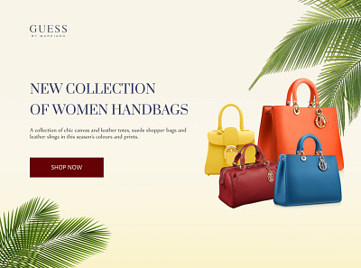 Handbags brand design brand identity branding graphic design