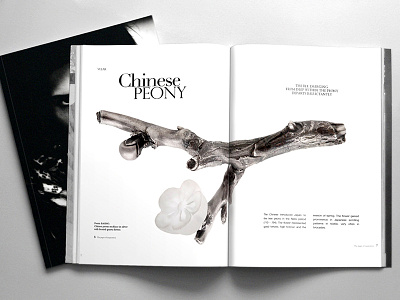 Layout for Jewellery Book