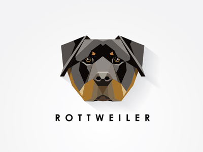 Rottweiler Dog animal breed dog geometric head icon illustration low polygon pet powerful rottweiler vector