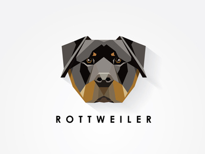 Rottweiler Dog