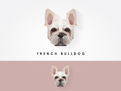French Bulldog Geometric Icon animal breed dog french bulldog geometric head icon illustration low polygon muzzle pet vector