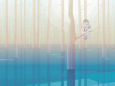 Barred Owl In The Misty Swamp Forest animal barred owl contemporary flood forest illustration nature swamp vector wilderness woods