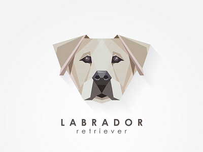 Labrador Retriever animal contemporary dog geometric head icon illustration lab labrador retriever triangular vector