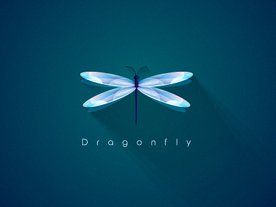 Illuminated Dragonfly