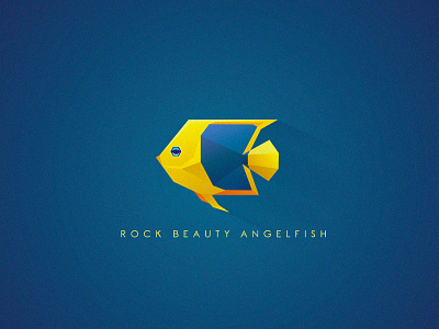 Rock Beauty Angelfish