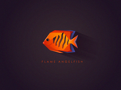 Flame Angelfish