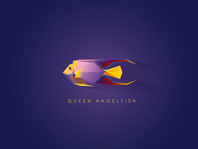 Queen Angelfish animal aquarium colors contemporary fish geometric icon illustration low poly marine life queen angelfish vector