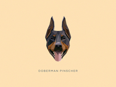 Doberman Pinscher Vector Illustration canine defence doberman pinscher domestic dog graceful icon illustration intelligent loyal police dog protection vector