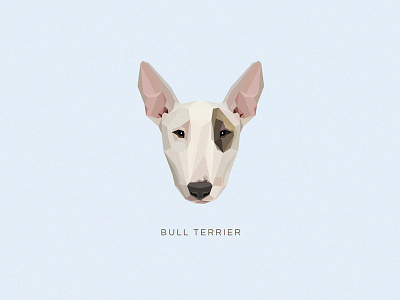 Bull Terrier animal breed bull terrier canine dog domestic dog geometric head icon illustration low poly vector