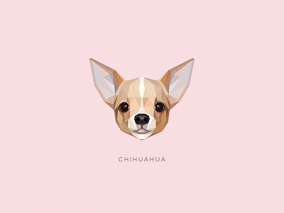 Chihuahua animal breed canine chihuahua cute dog geometric illustration low poly pastel colors pink vector