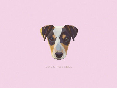 Jack Russell Terrier vector illustration cute dog geometric icon illustration jack russell terrier low poly vector
