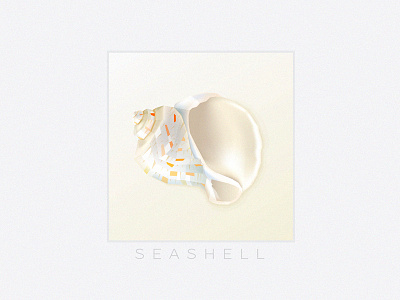 Orange Dotted Seashell beach fragile geometric icon illustration sea shell seashell shell summer vector white