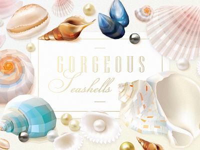 Gorgeous Seashells collection collection gorgeous illustrations pearls sea shells seashells shells summer vectors