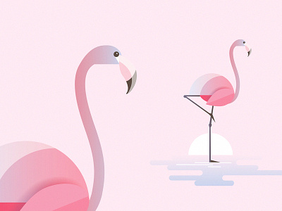 Flamingo bird exotic flamingo geometric illustration modern pink summer sunset vector