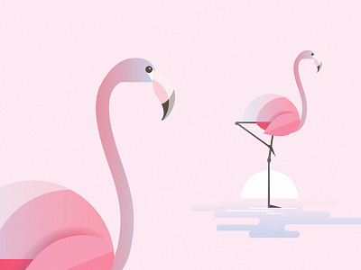 Flamingo