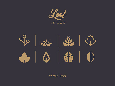 Leaf Logos autumn fall golden icons illustration leaf logos marks season set symbols vectors