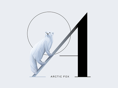 A for Arctic Fox animal arctic fox black font illustration letter a minimalism symbol typography vector white wildlife