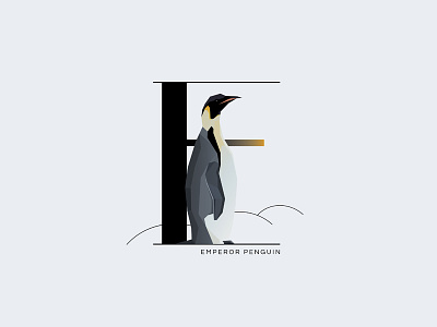 E For Emperor Penguin animal drop cap letter emperor penguin illustration initial letter insignia letter e minimal symbol typography vector wildlife