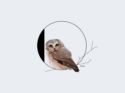 O For Owl animal illustration initial letter insignia letter o minimalism pygmy owl symbol type typography vector wildlife