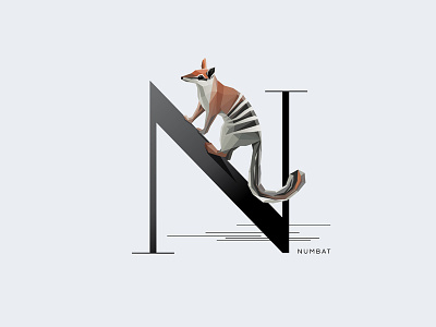 N For Numbat animal anteater australia illustration insignia letter n numbat symbol type typography vector wildlife