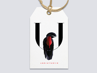 U for Umbrellabird bird branding illustration insignia letter u minimal symbol tag type typography umbrellabird vector