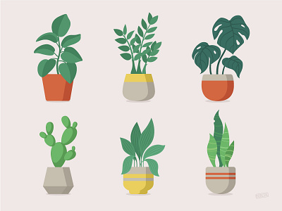 Indoor Plants Set app design flat green illustration illustrator leaves nature plant print vector