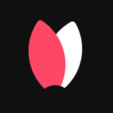 Web Code Minify