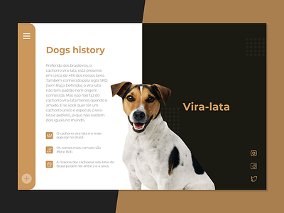 Dogs History: Vira-lata