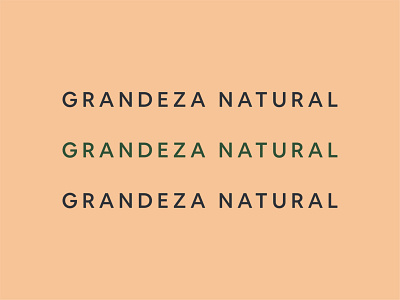 Type — Granat Labs 2021 brand design brand identity branding granat holistic lab organic rebranding typeface