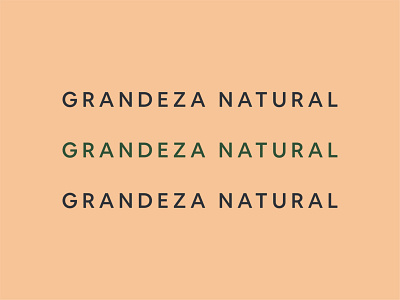 Type — Granat Labs