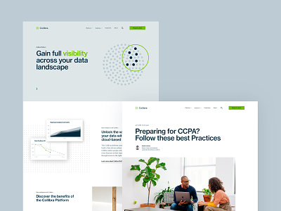 Collibra Website branding design illustration rebrand web